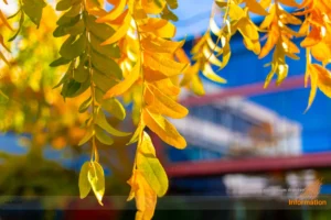 Herbstferien